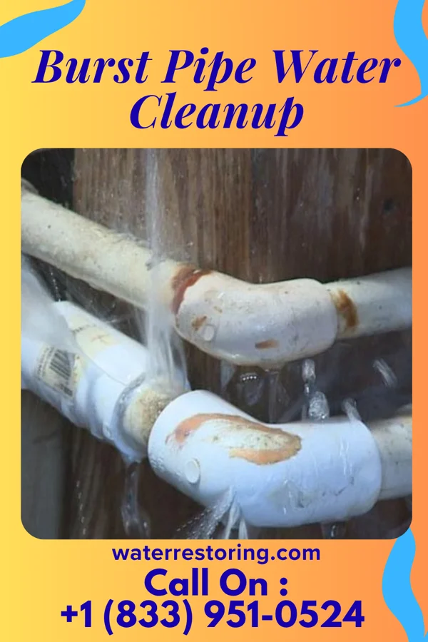 Burst Pipe Water Cleanup in Cedarville, MD