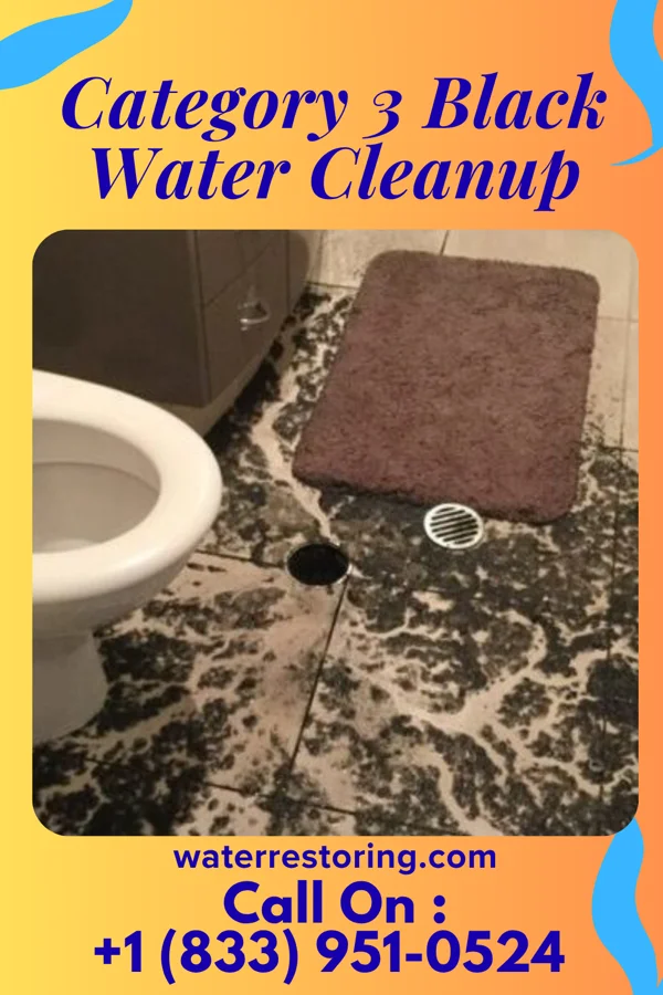 Category 3 Black Water Cleanup in Cedarville, MD