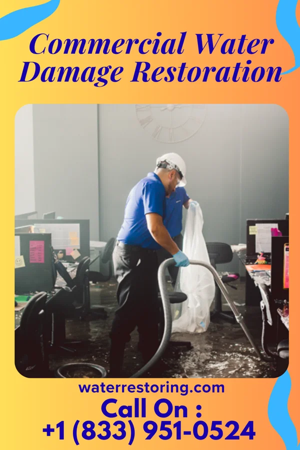 Commercial Water Damage Restoration in Cedarville, MD