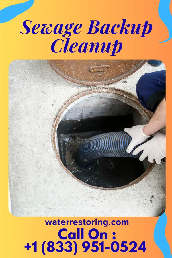 Sewage Backup Cleanup in Cedarville, MD