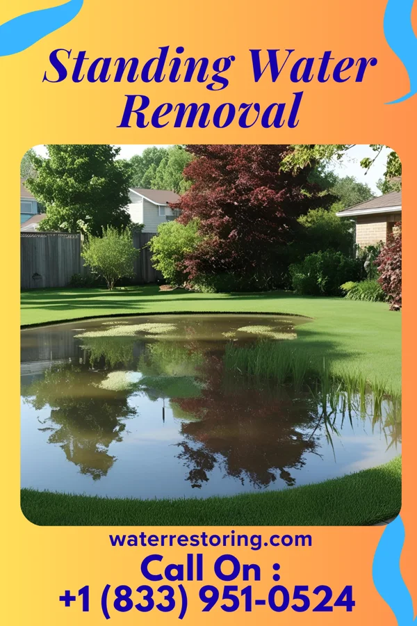 Standing Water Removal in Cedarville, MD